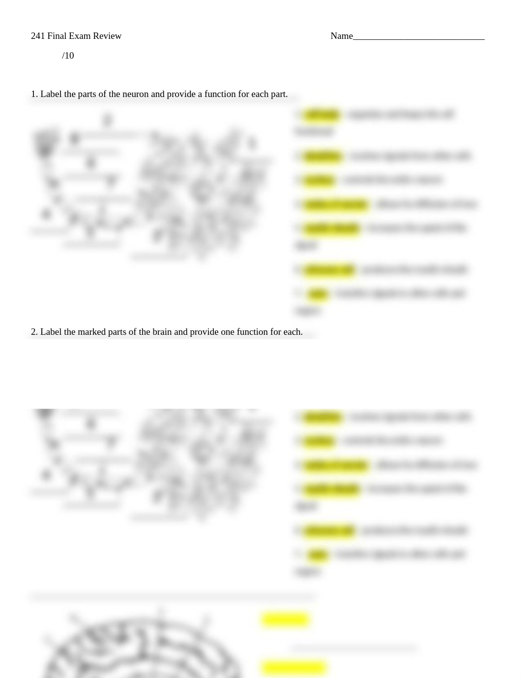 241 final exam review.docx_dq5jxxyx30w_page1