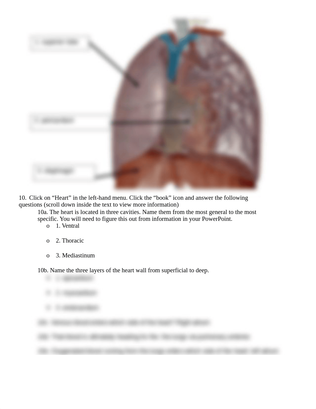 BIO 211 Lab 2 Online Lab Activity YTC Complete.docx_dq5ow9ofrms_page2