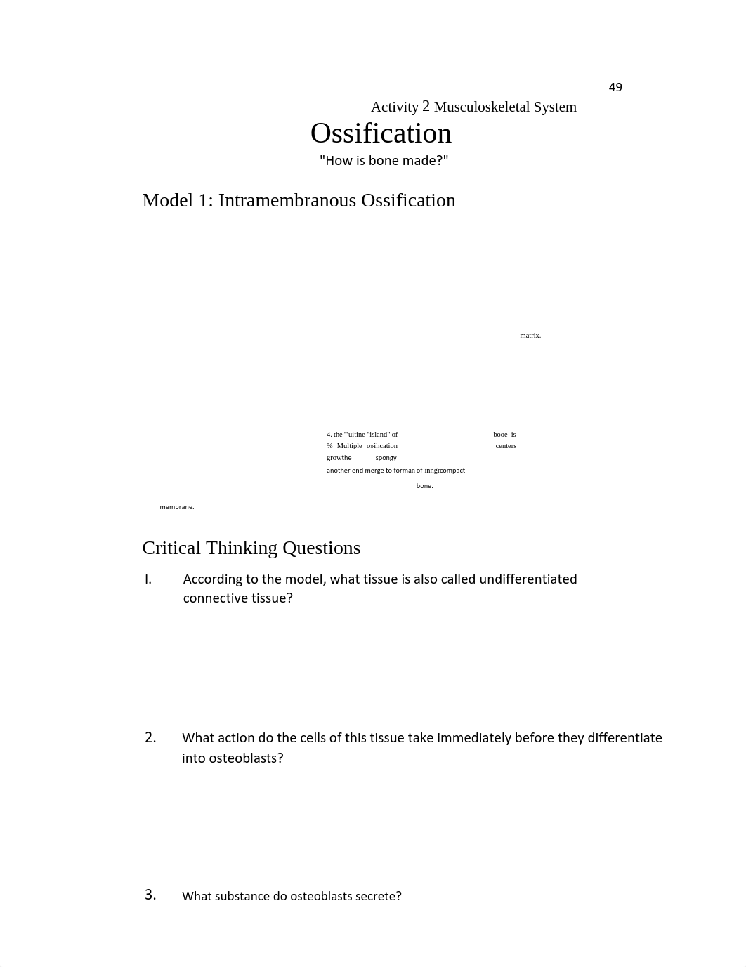 Ossification_Activity.pdf_dq5qbdq2acz_page1