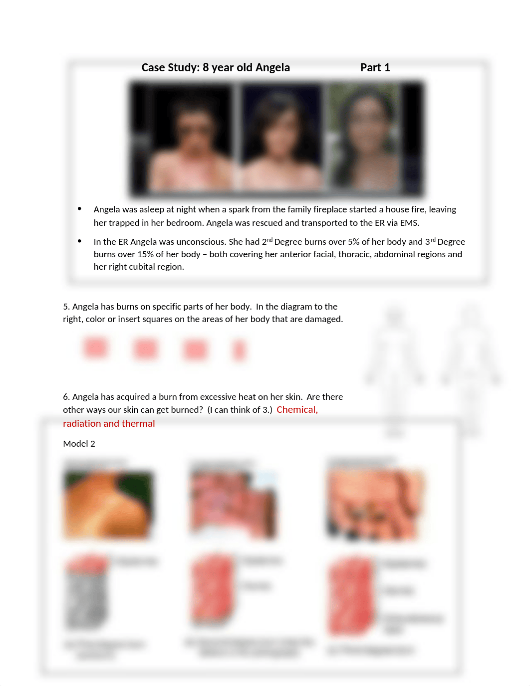 Integument System POGILish (Online).docx_dq5rqrhs6i2_page2