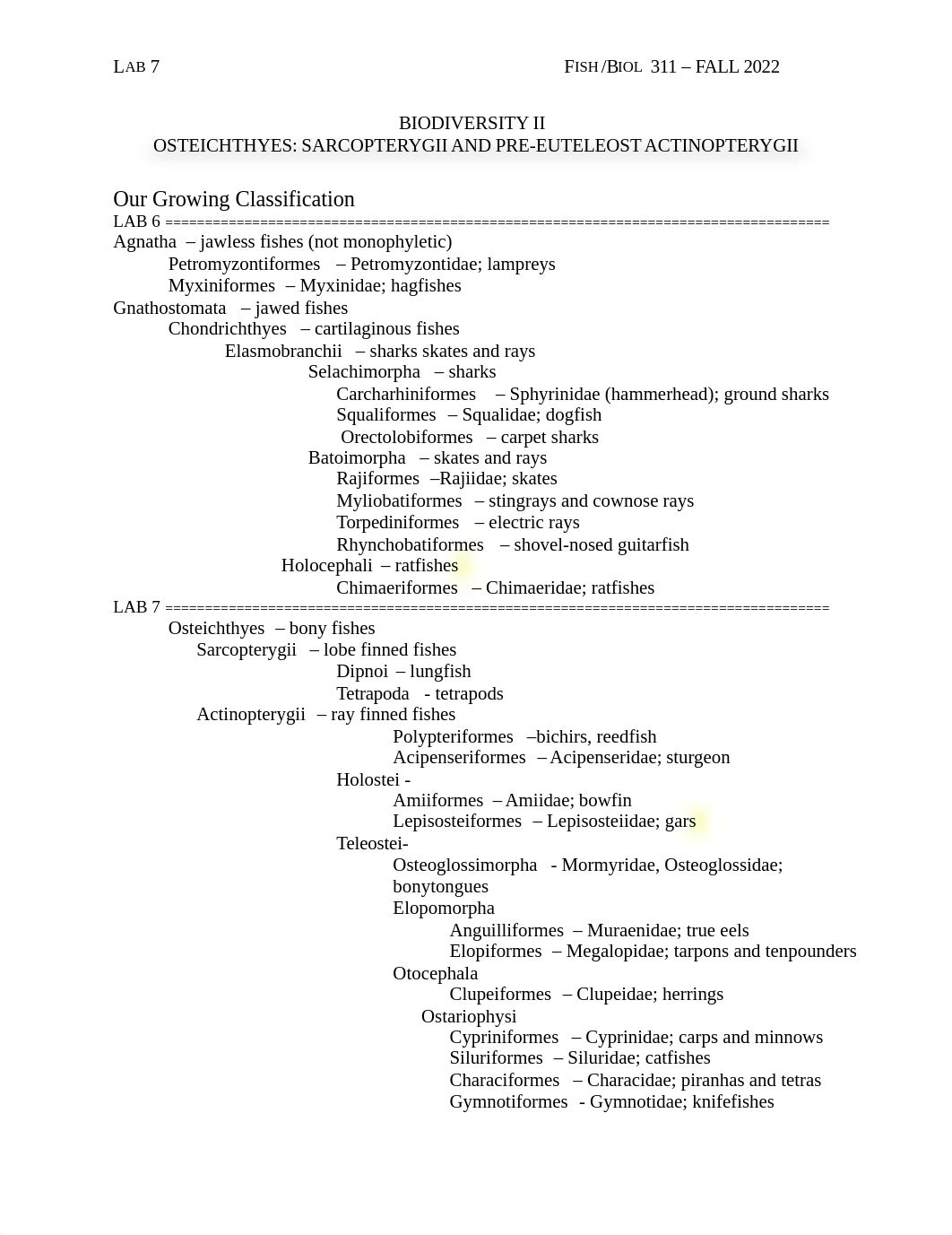 Lab 7.docx_dq5t8w5tikq_page1