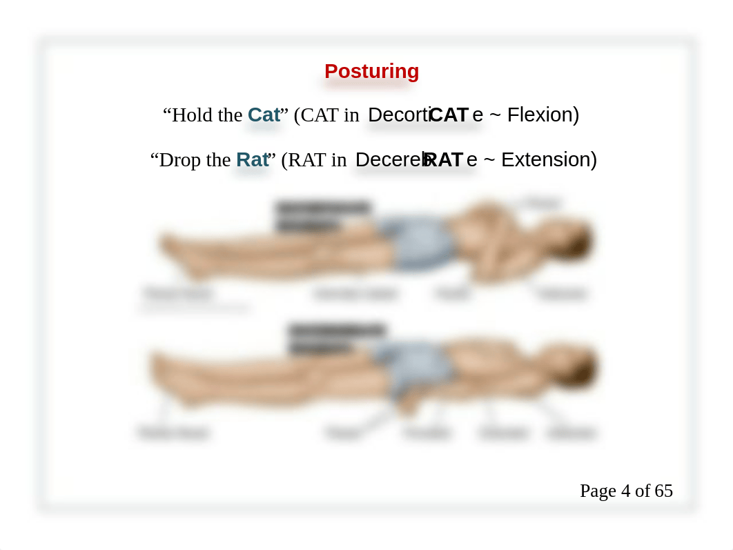 203nur-203-final-notecards.pdf_dq5ysskzi4t_page4