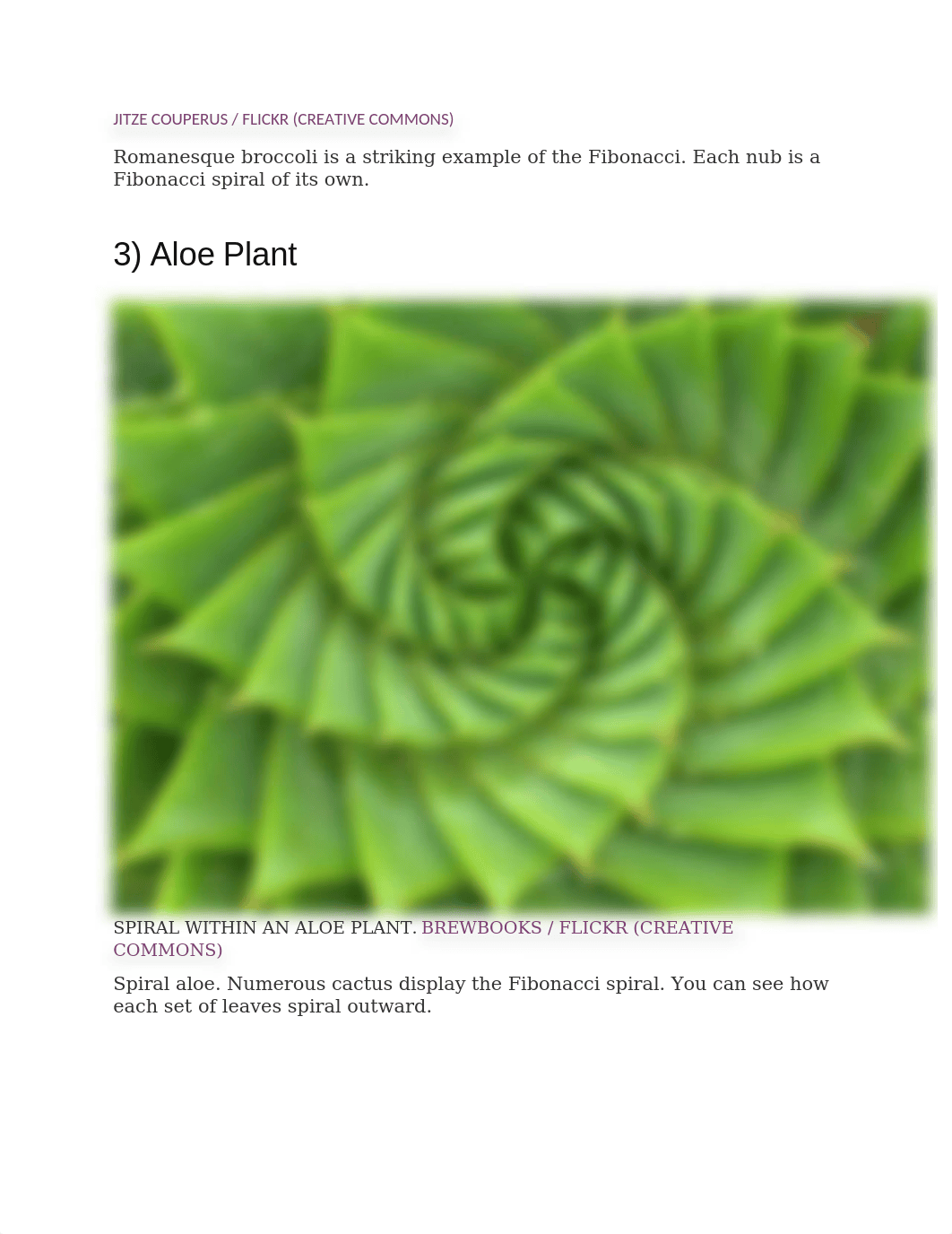 Amazing Examples of the Fibonacci Sequence in Nature.docx_dq65wx1jemd_page4