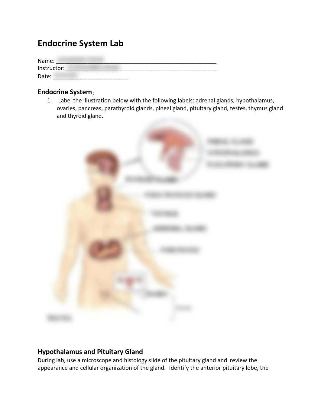 Endocrine_Lab_Exercise_ Edozie Agbunnorh..pdf_dq668fg8xfp_page1