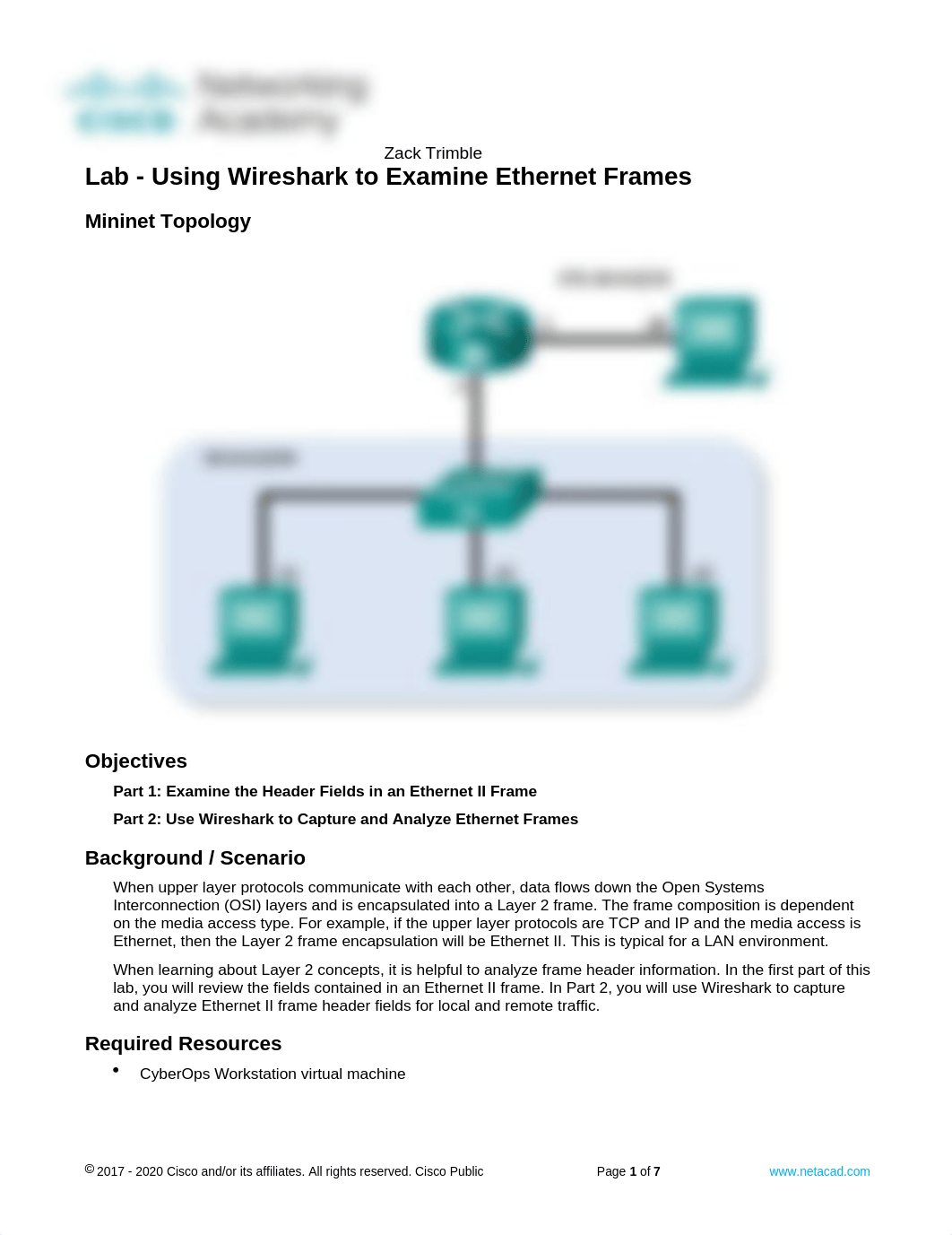 8.2.8 Lab - Using Wireshark to Examine Ethernet Frames.docx_dq6707ykhbn_page1