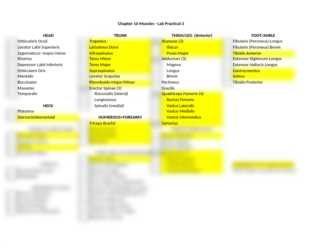 Copy of Ch 10 Muscles Lab Practical 3.xlsx_dq6exnupf29_page1