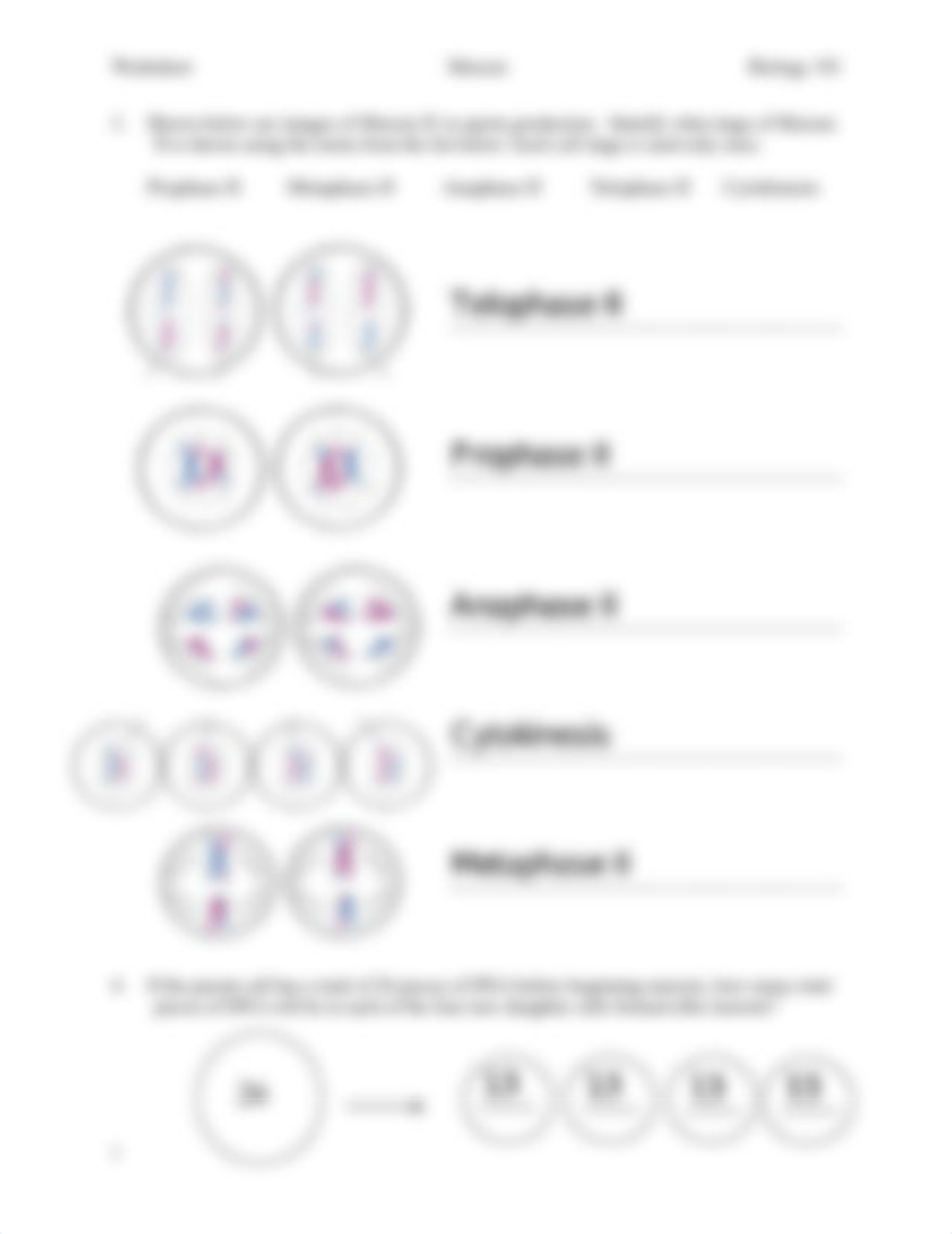 L07 - fillable meiosis.pdf_dq6gj09clmi_page2