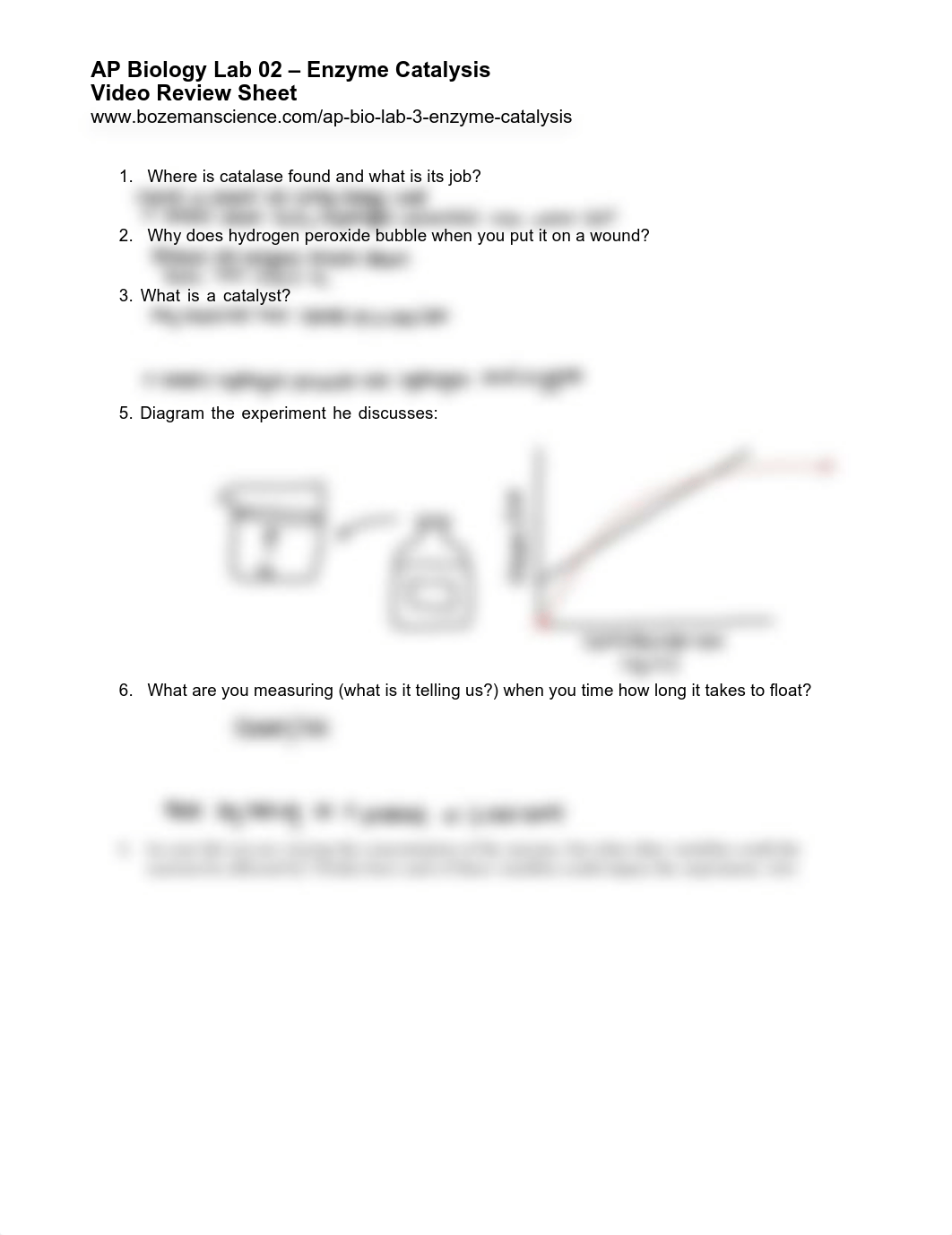 Microsoft_Word_-_AP_Bio_Lab-02_Enzyme_Catalysis_Worksheet-WL.docx.pdf_dq6j90i1020_page1