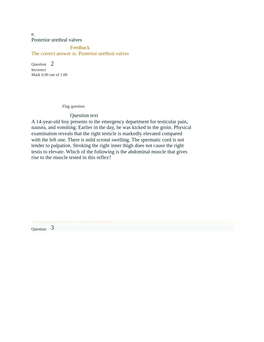 Anatomy Test  3 Winter.docx_dq6kafhg0sx_page2