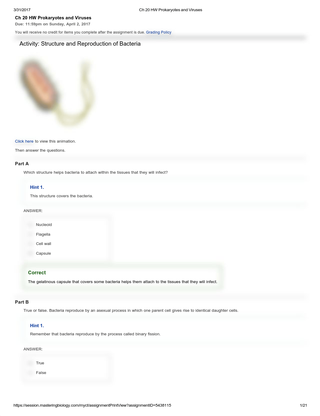 Ch 20 HW Prokaryotes and Viruses_dq6t9668z5s_page1