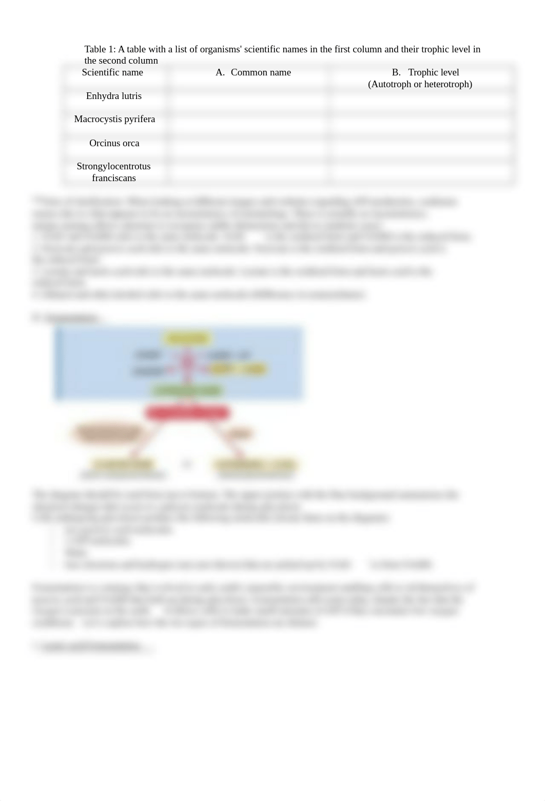 Photosynthesis and Cellular Respiration.docx_dq6vfbzm2uz_page2