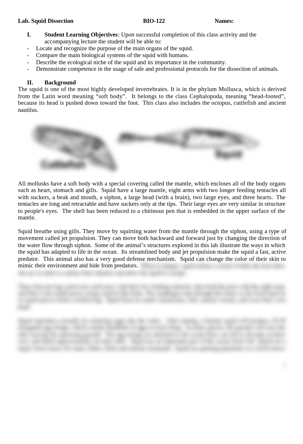 Laboratory -  Squid Dissection - Fall19.docx_dq6y48tdf8l_page1