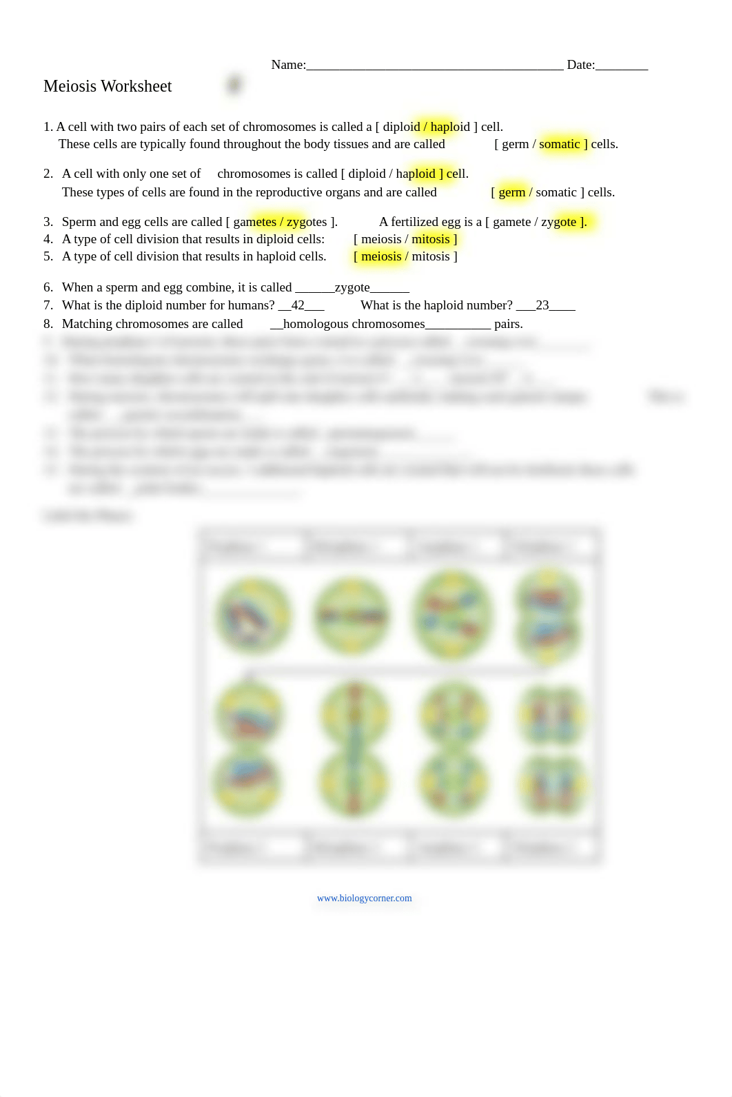 NAS 2 Meiosis Worksheet.pdf_dq6yxkn08d8_page1