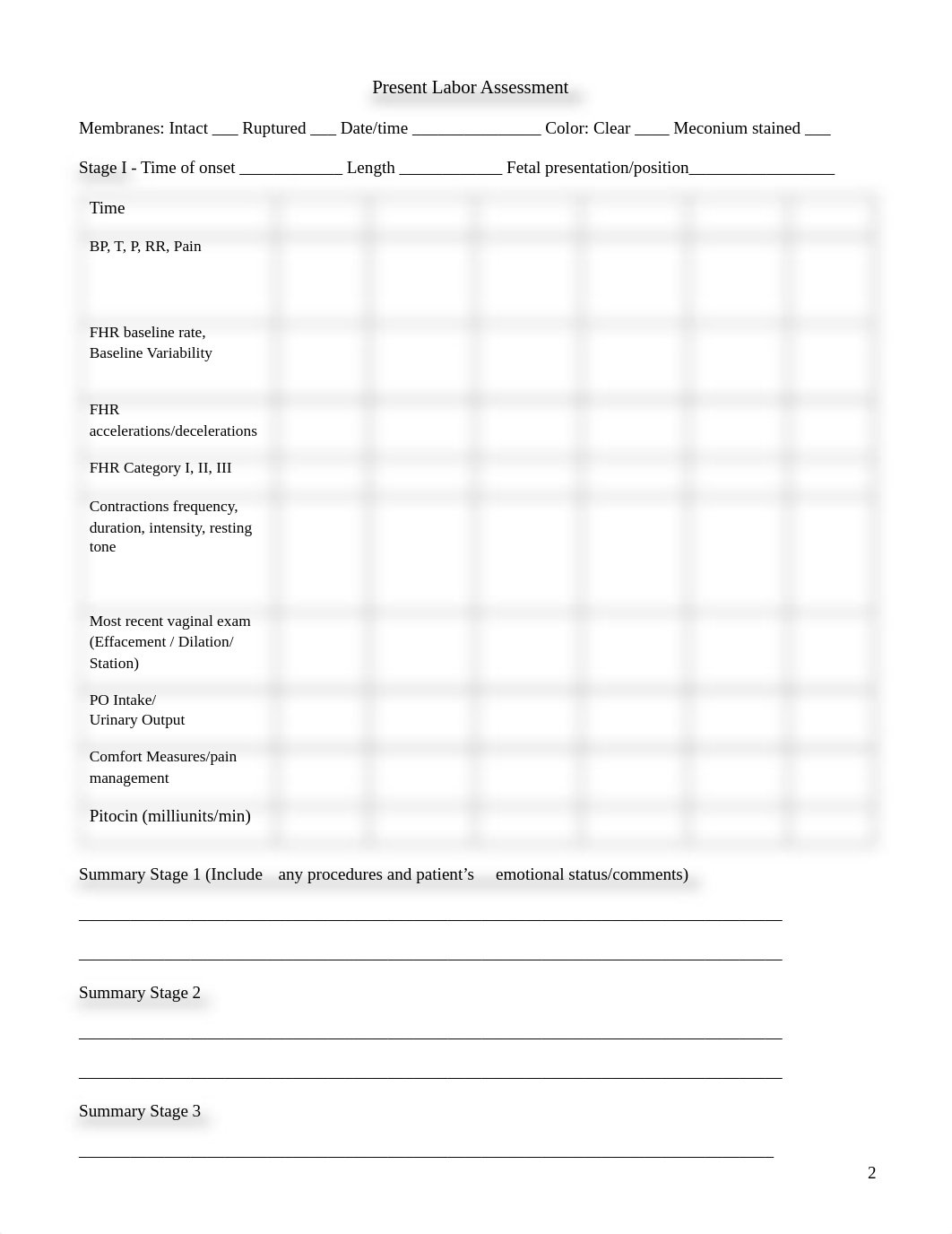 NSG 307 Assessment and Careplan Document-rev 01-20.pdf_dq71ya5xiaj_page2