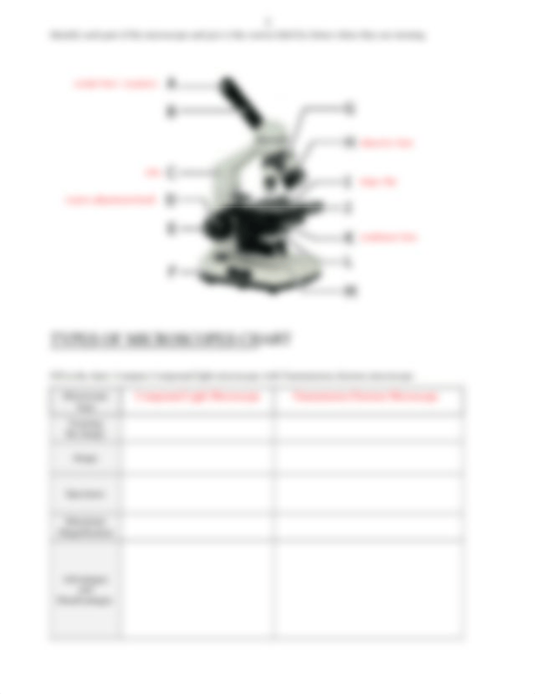 Microscope practice wksheet (1).docx_dq74ay99e5p_page2