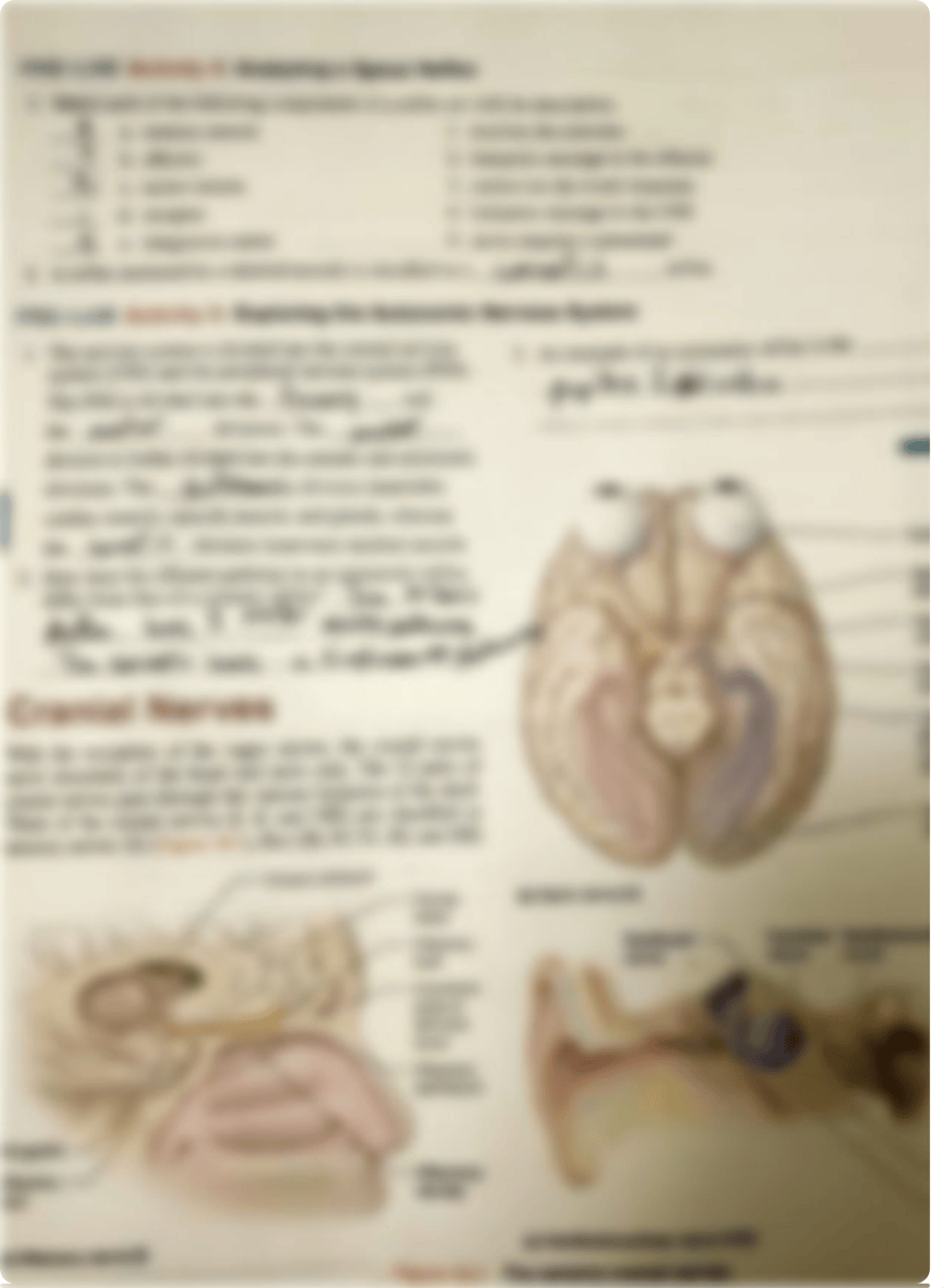 Pre-Lab Unit 16.pdf_dq7ah4ha0j2_page3