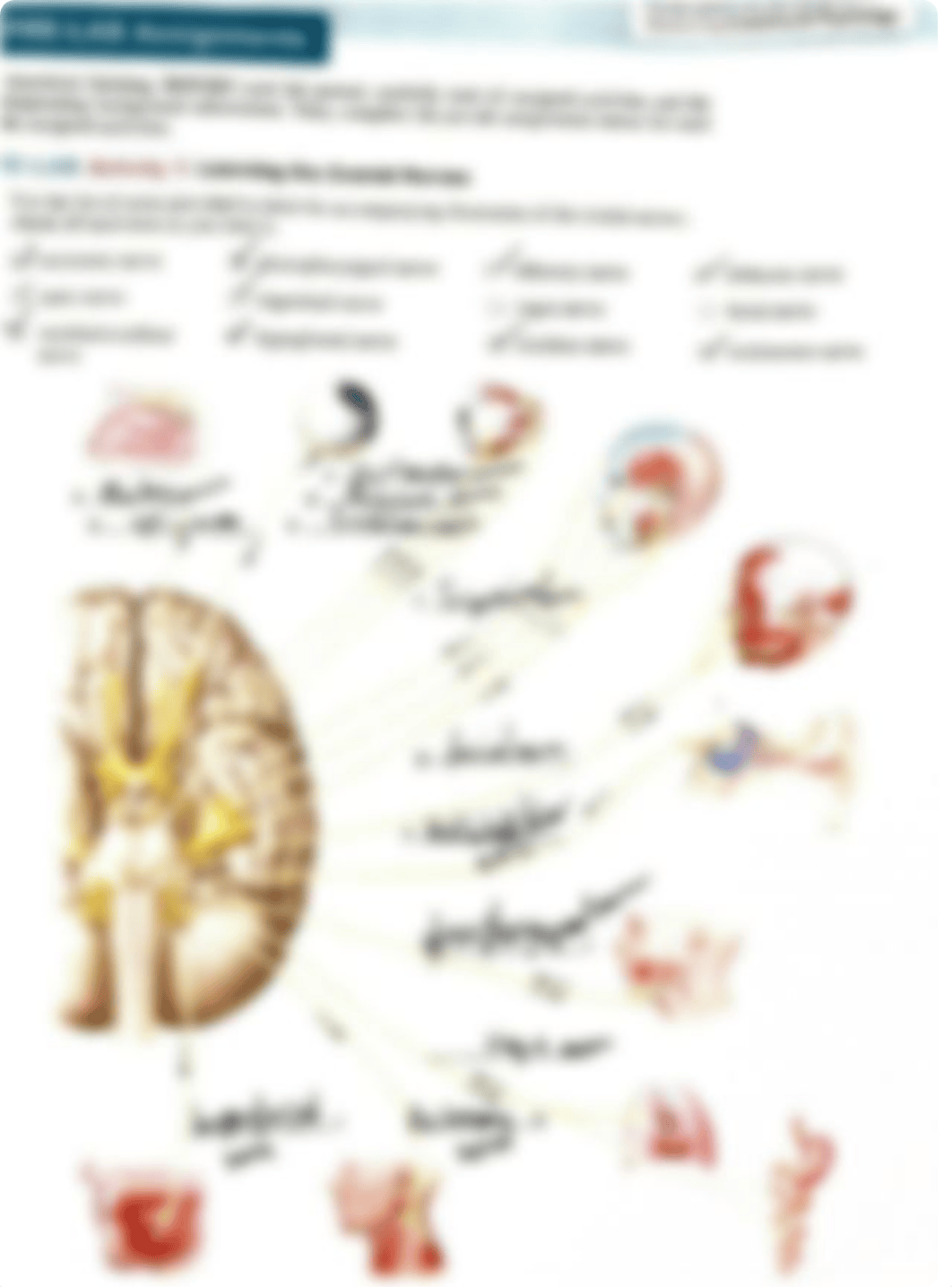 Pre-Lab Unit 16.pdf_dq7ah4ha0j2_page1