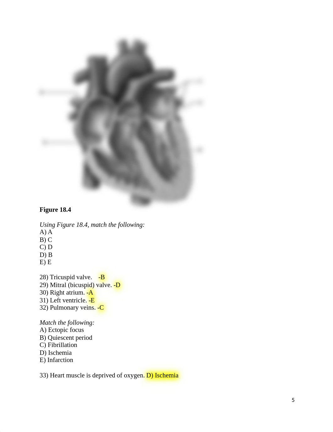 ch_18_worksheets.docx_dq7by0oseyo_page5