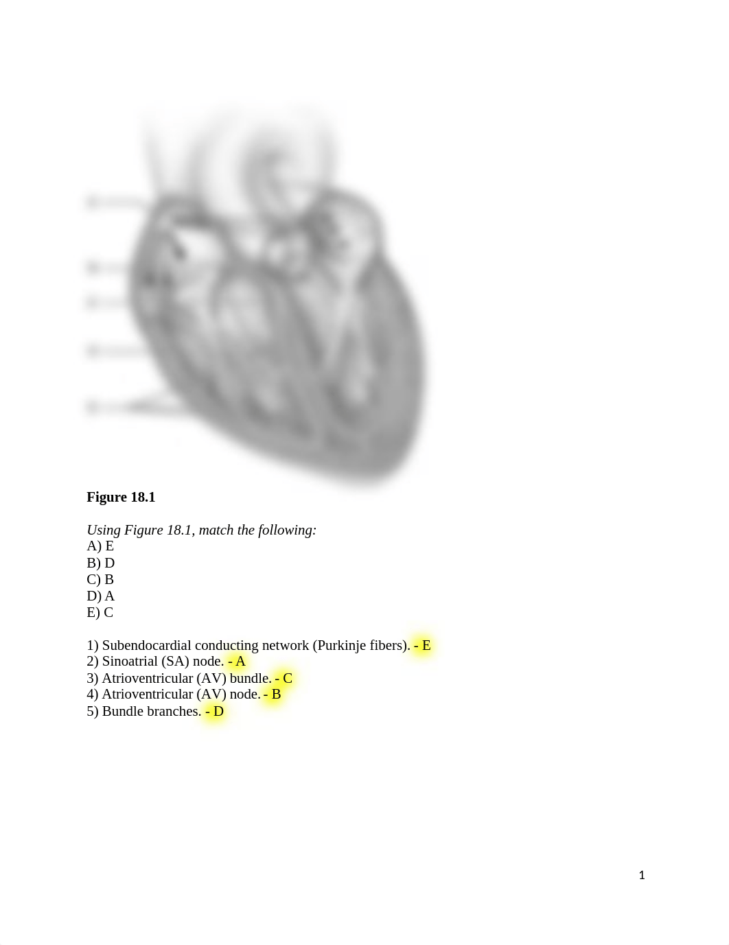 ch_18_worksheets.docx_dq7by0oseyo_page1