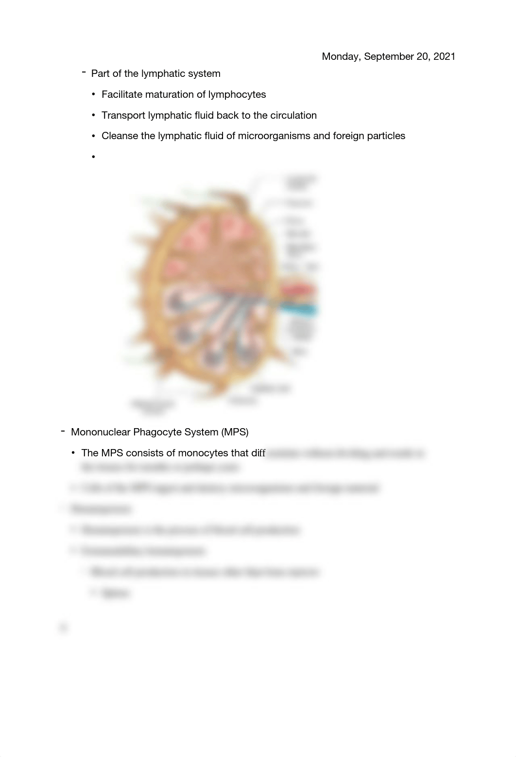 Patho-Week 7- Hematologic Systems Ch 20 & 21 .pdf_dq7cdfpfldh_page4