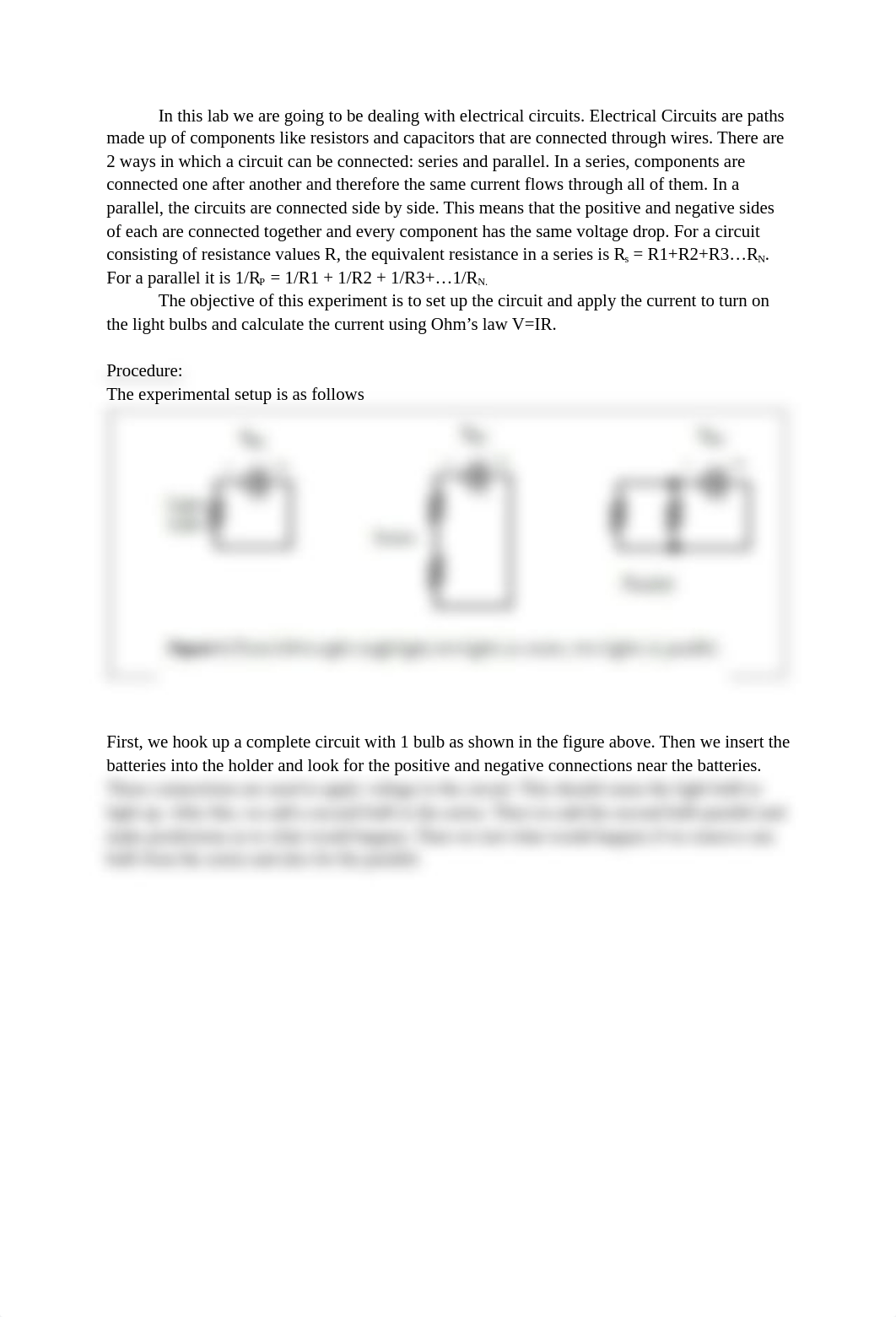 Physics 2 Lab 4 Report.docx_dq7o6nh3onx_page2