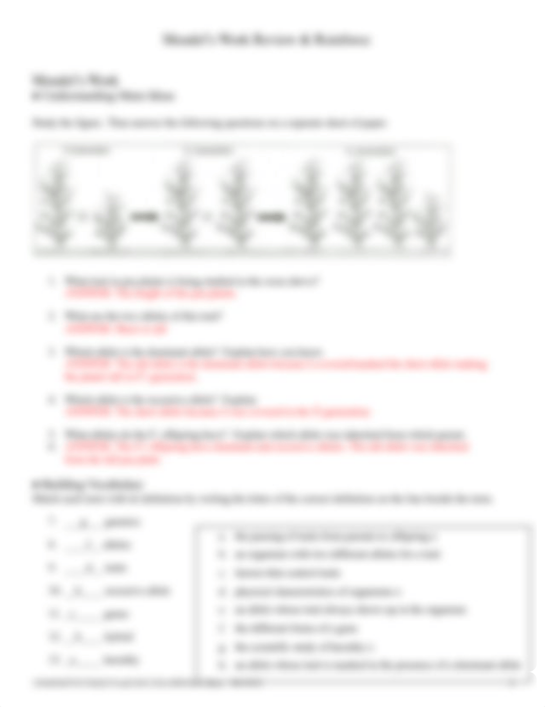 3-10 Mendels Work Review and Reinforce.docx_dq7p4x5m2oc_page2