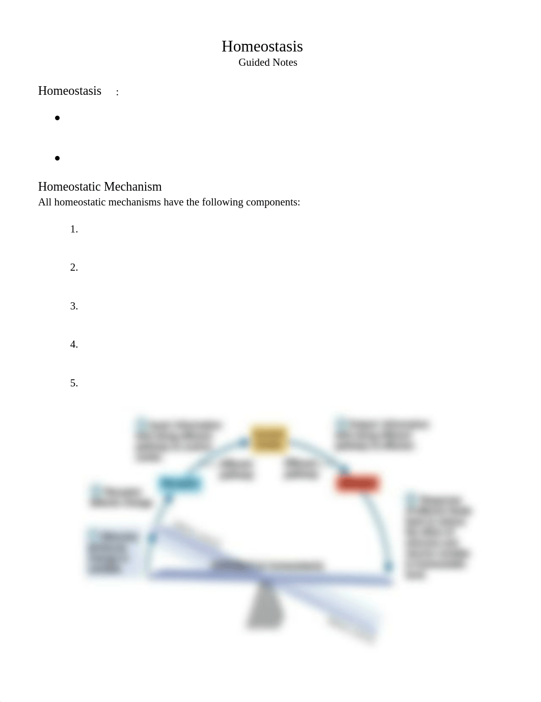 Homeostasis Guided Notes_dq7qxvse3ie_page1