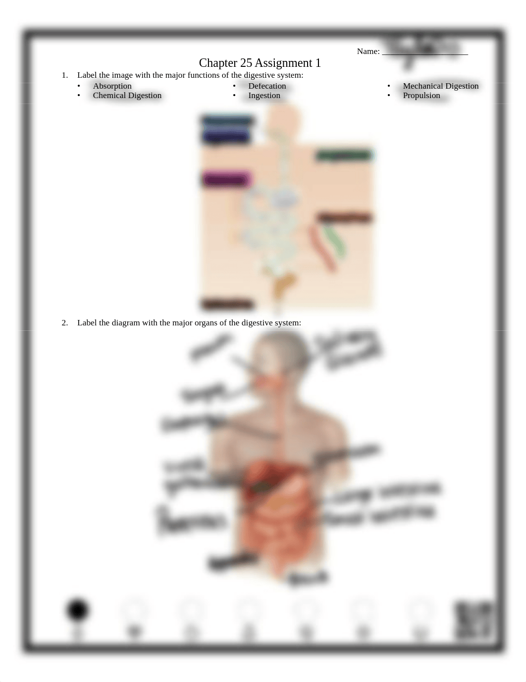 Chapter 25 Assignment 1.pdf_dq7xmgiosue_page1