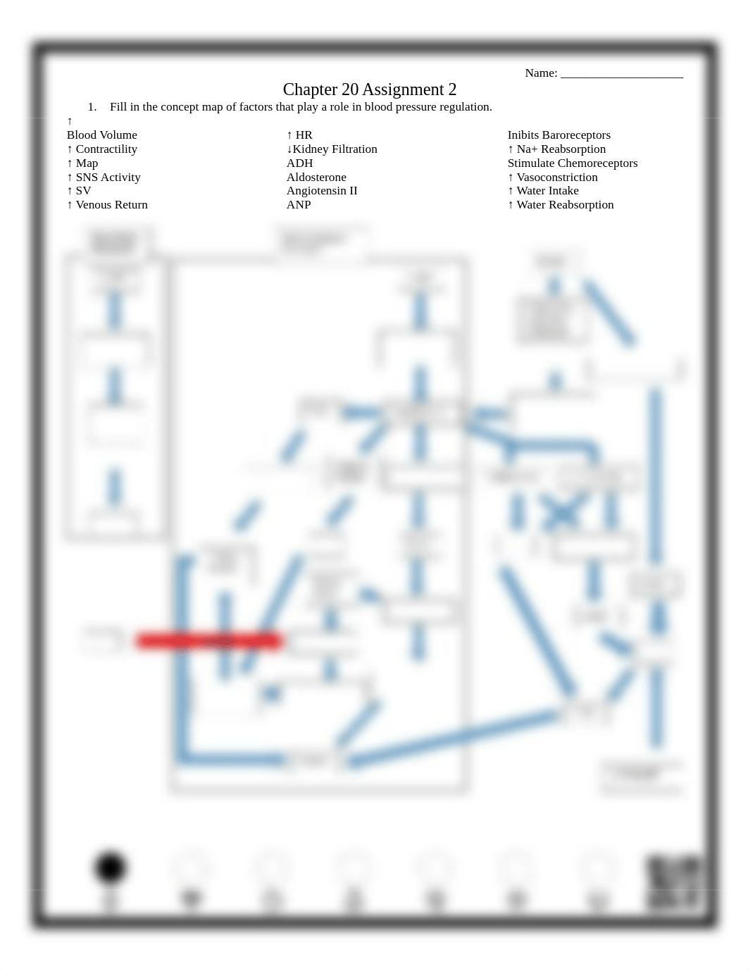 Chapter 20 Assignment 2.pdf_dq895km2xk7_page1