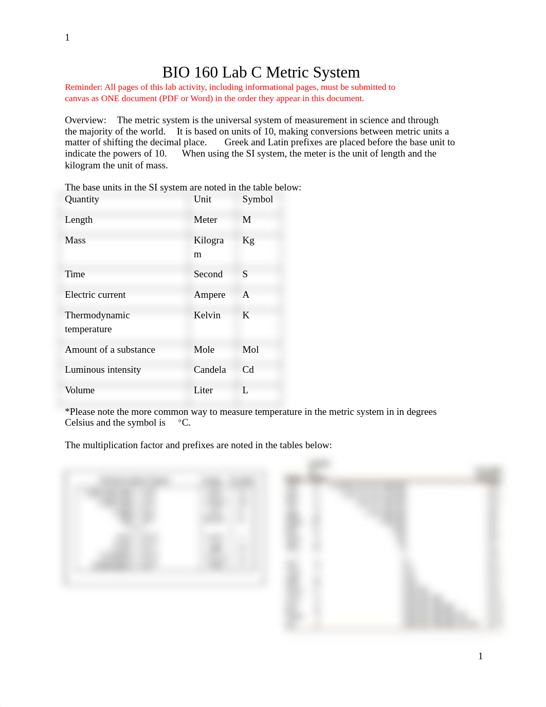 Lab C Metric System.docx_dq8entpfyu7_page1