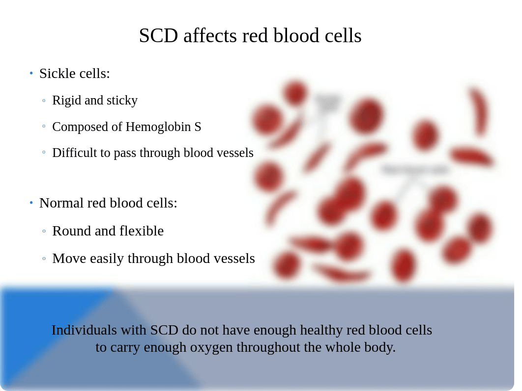 Sickle Cell Anemia Powerpoint_dq8eyp20px0_page2