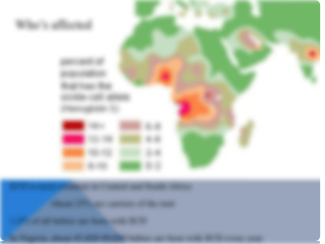 Sickle Cell Anemia Powerpoint_dq8eyp20px0_page4