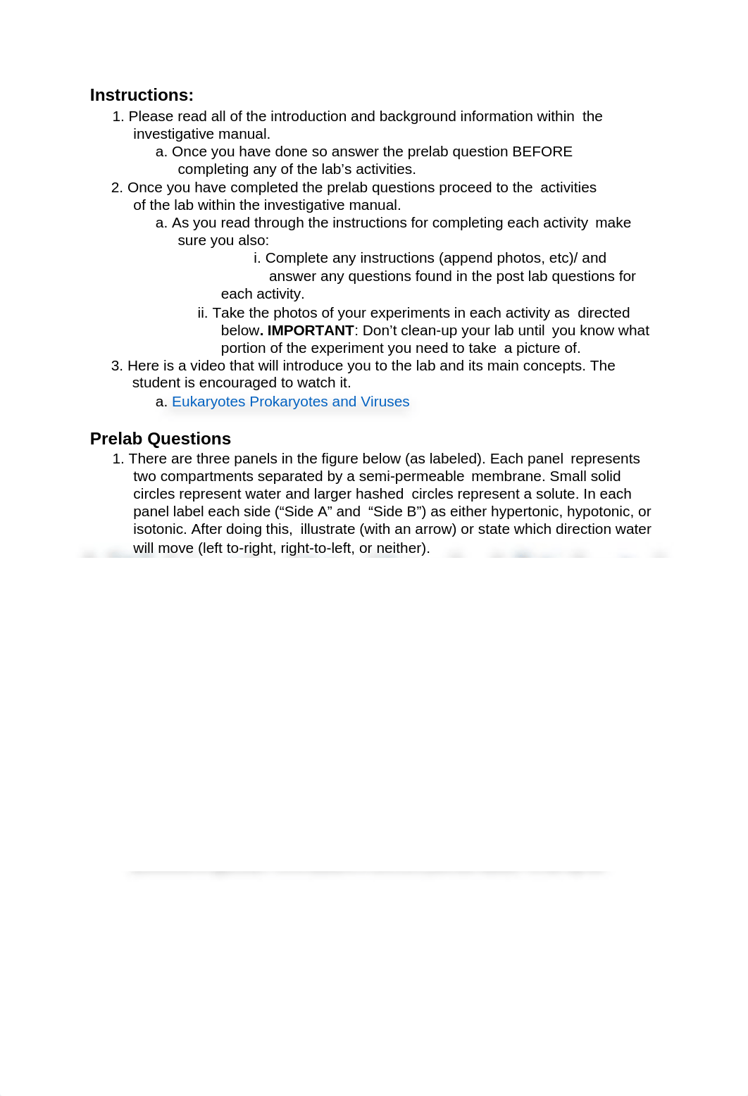 Lab_Report_Eukaryotes_Prokaryotes_and_Viruses (1).docx_dq8ivz06ilg_page2