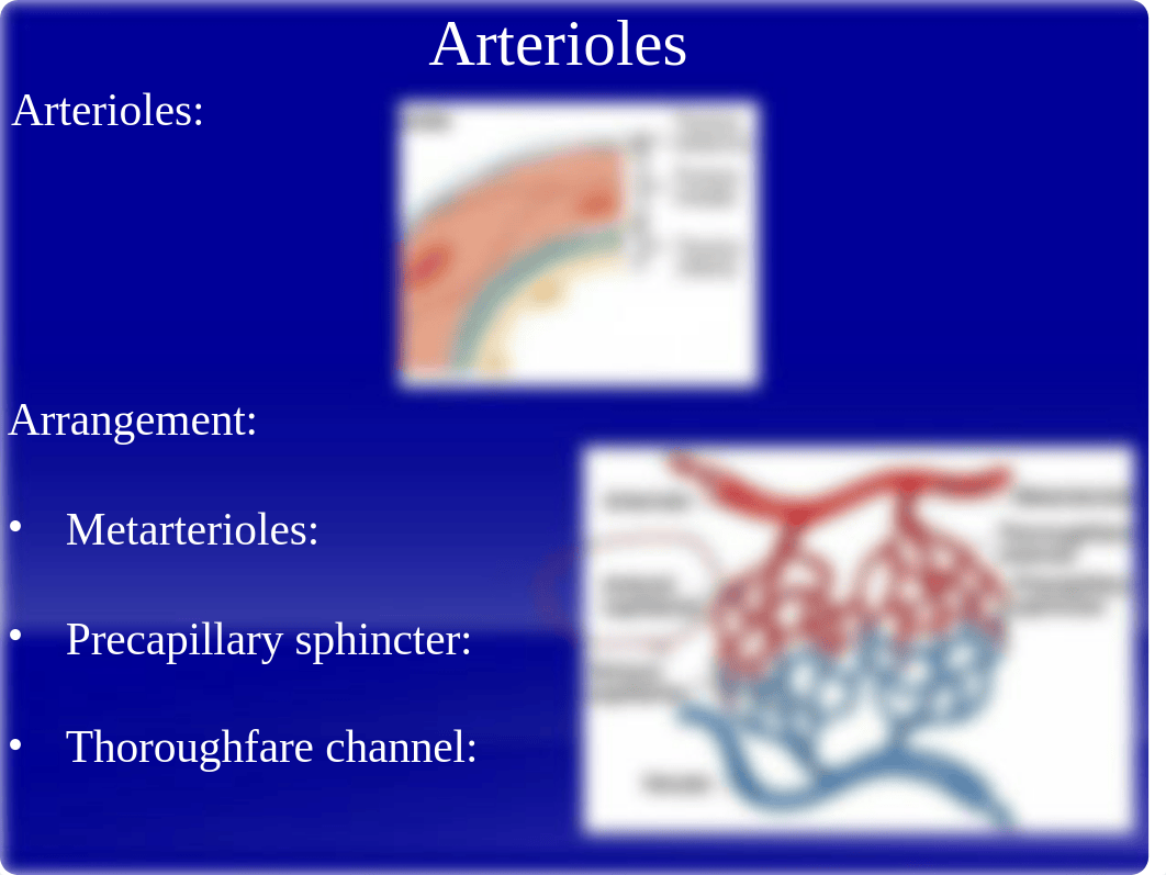 7.1 - CV Vascular Anatomy 2018.pptx_dq8n78qkles_page4