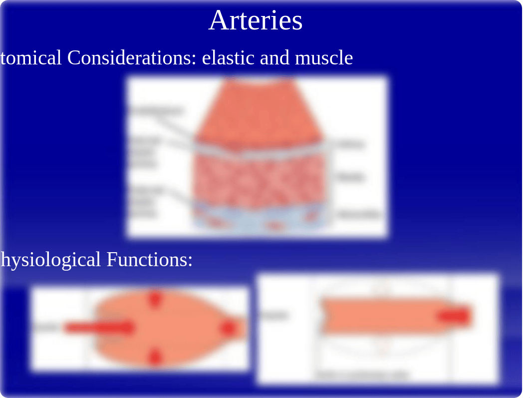 7.1 - CV Vascular Anatomy 2018.pptx_dq8n78qkles_page3