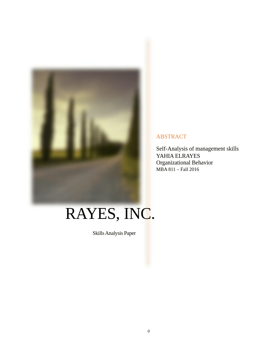 Rayes Inc_dq8nd7pijxq_page1