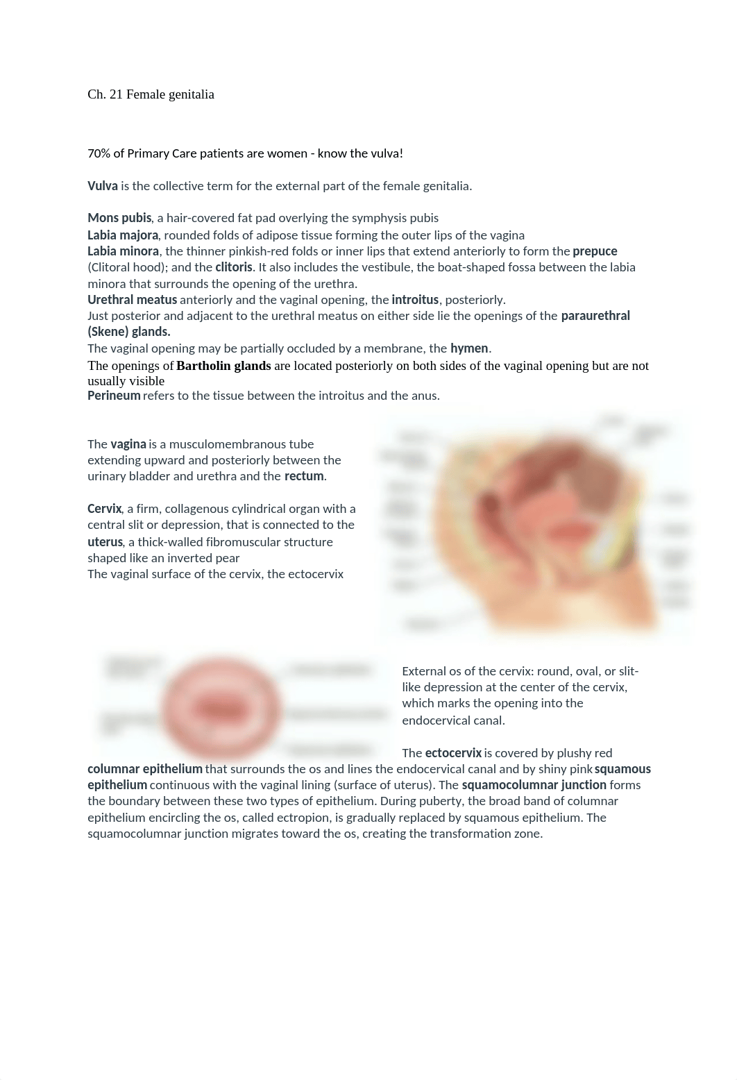 Ch. 21 Female genitalia.docx_dq8qtqz0goi_page1