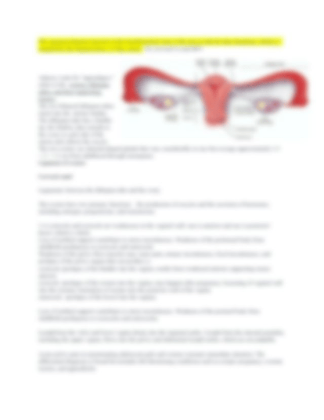 Ch. 21 Female genitalia.docx_dq8qtqz0goi_page2