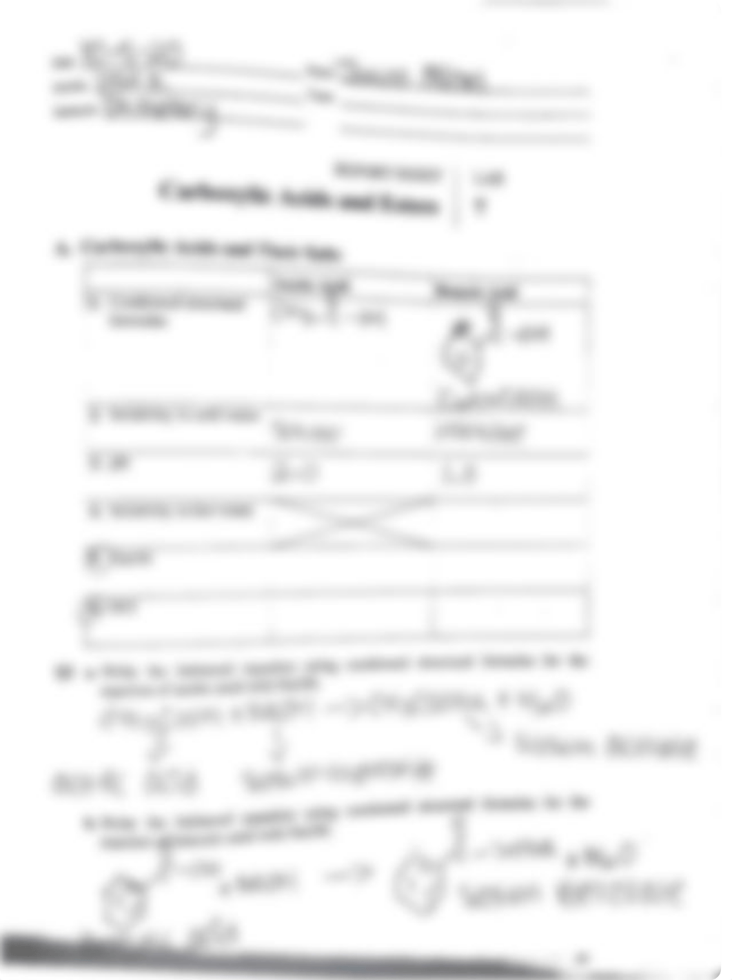 Carboxylic Acids and Esters Lab.pdf_dq8uif8geaz_page1