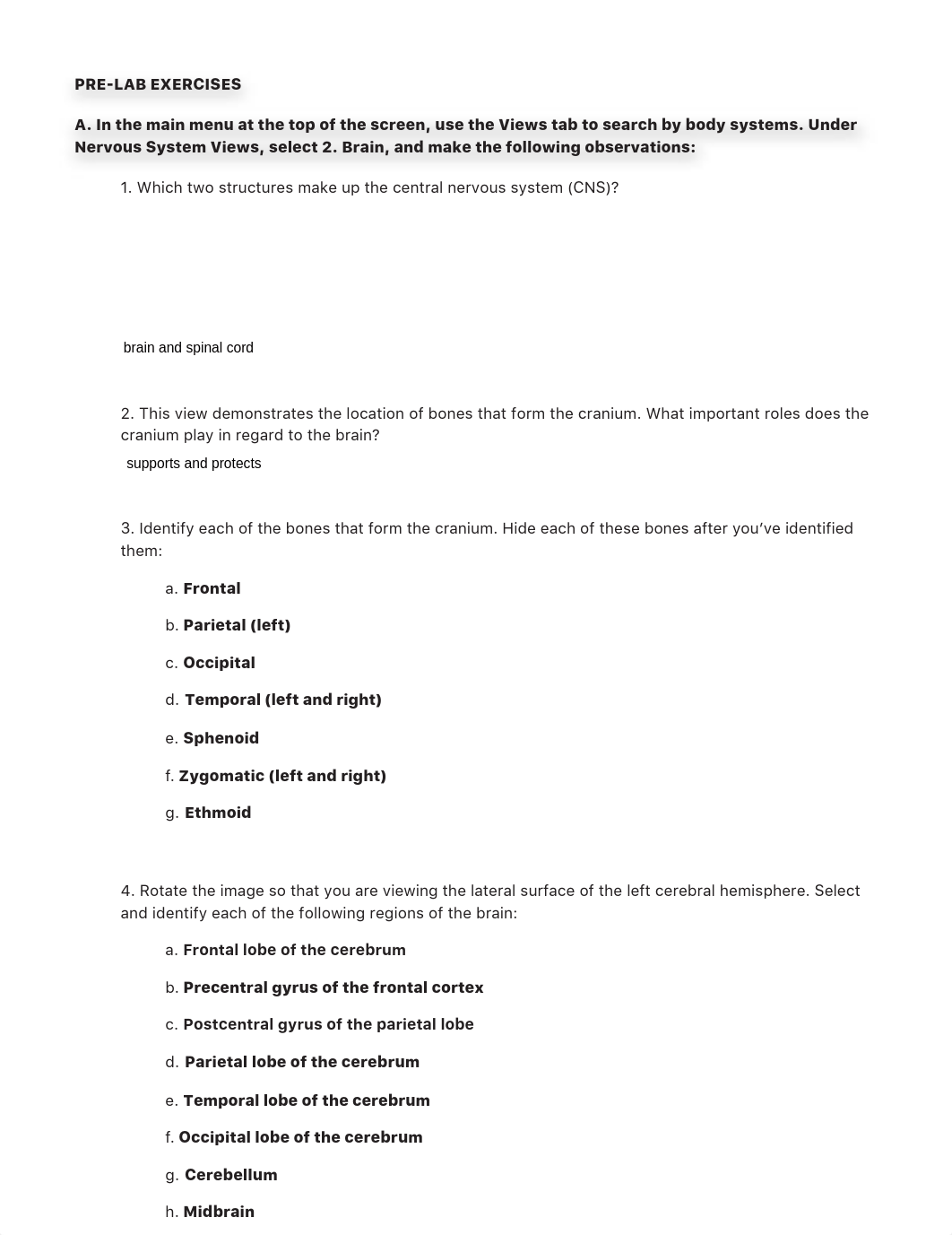 cranialnervespt1anatomylab.pdf_dq8y94l19or_page3