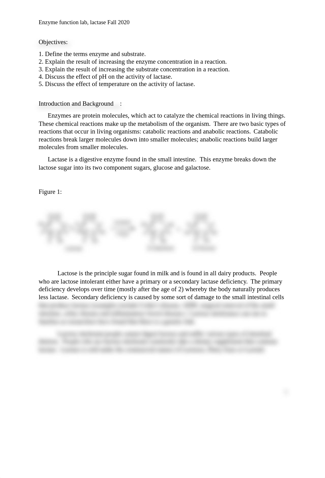 lactase lab simulation  fall 2020 (1).docx_dq8yflkxxzk_page1