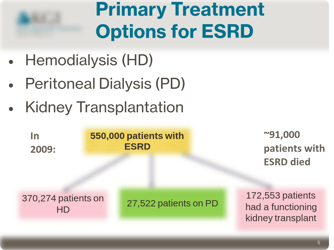 Dialysis+and+Drug+Dosing+in+Renal+Failure_For+Video (1)_dq9bc4jmc5n_page5