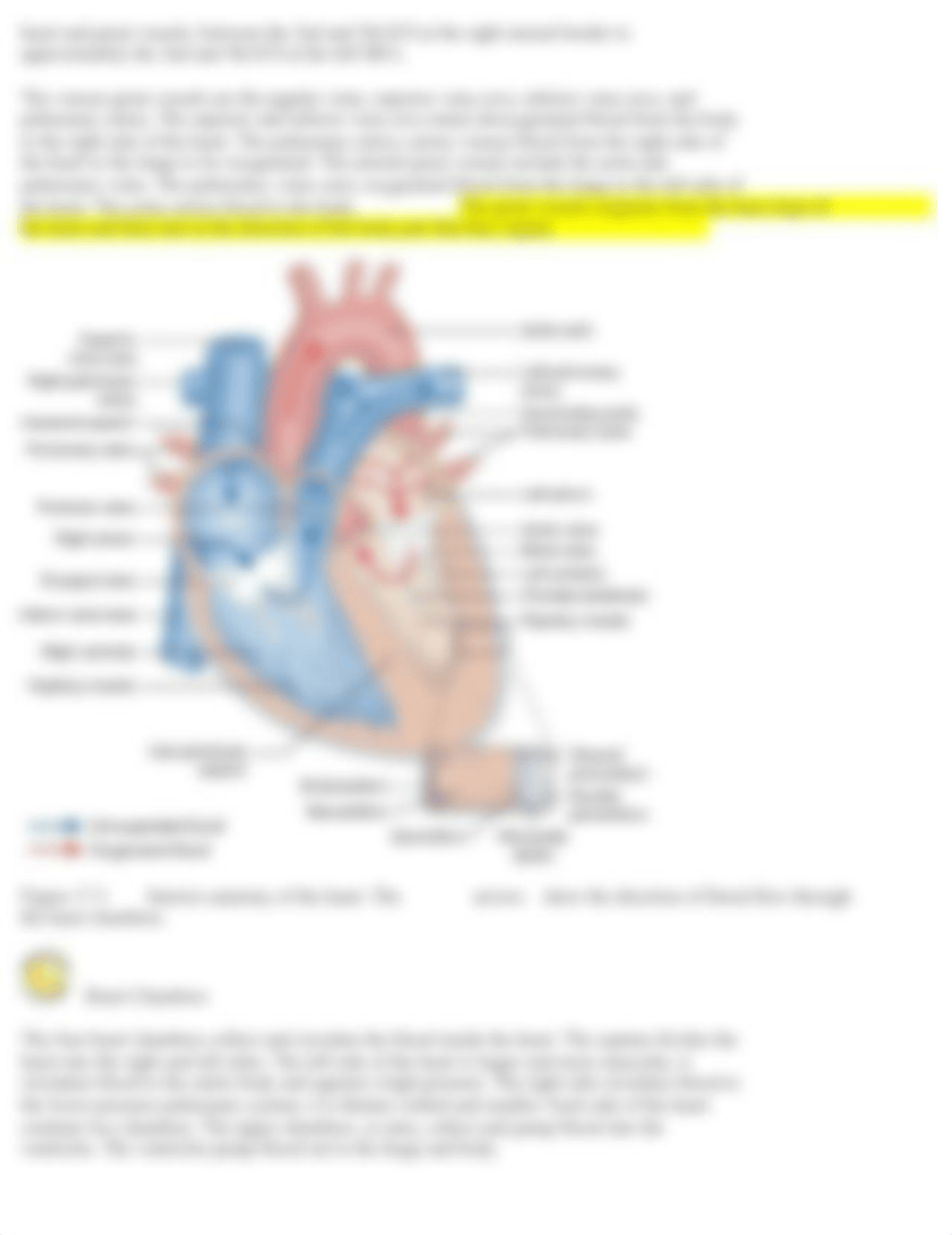 Health Assessment Realize It Unit 8.docx_dq9i9kwprvi_page3