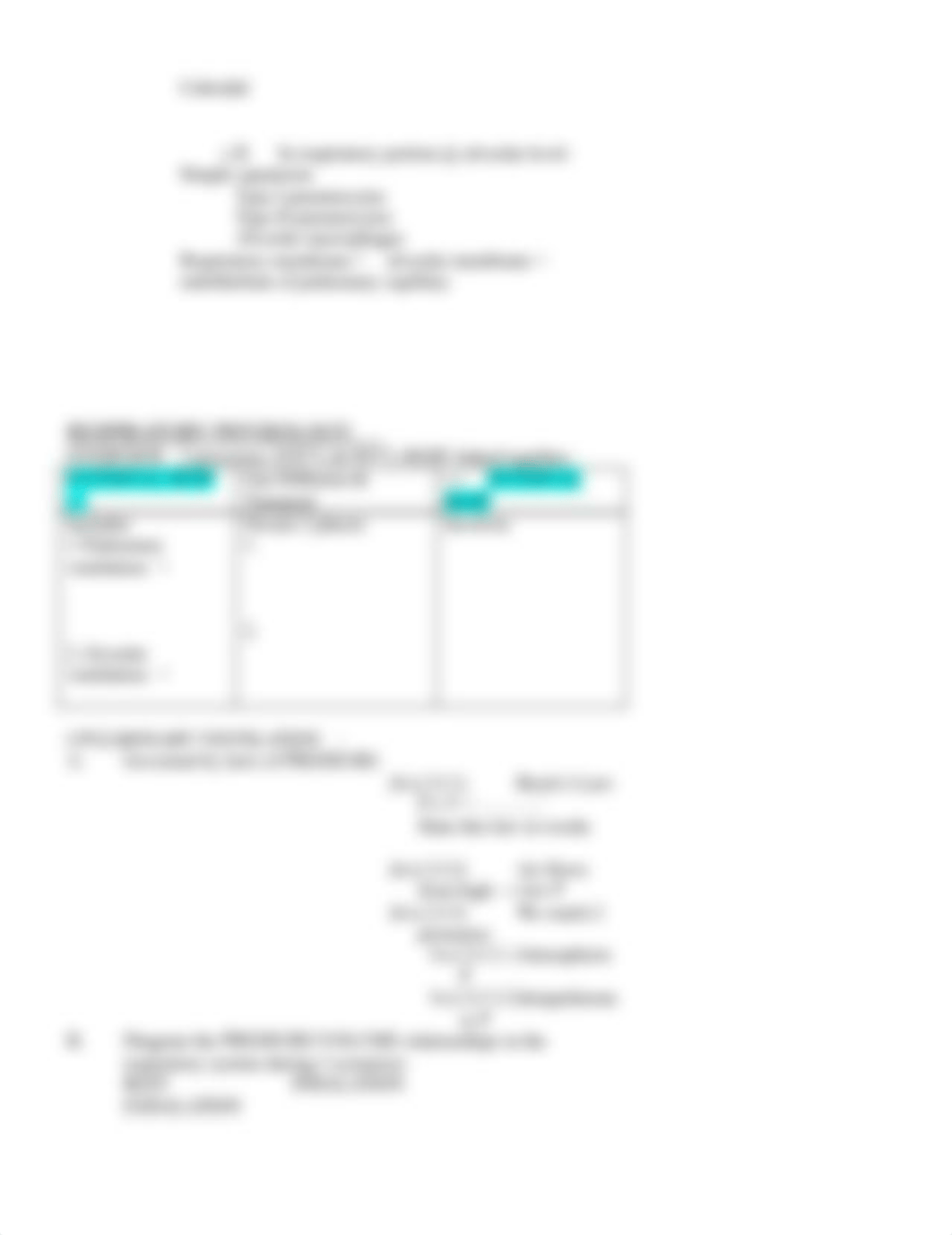 CLASS+NOTES+Respiratory+System_dq9imn3pyaz_page2