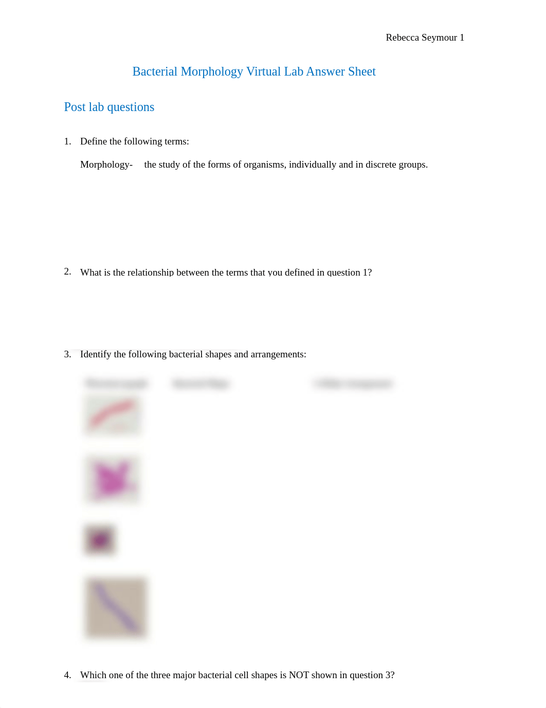 Bacterial Morphology Virtual Lab Finished Questions.pdf_dq9mqduqttq_page1