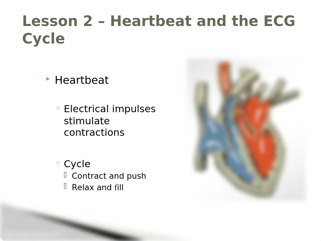 Heartbeat and the ECG Cycle Lesson 2 (1).pptx_dq9vi9g79du_page2