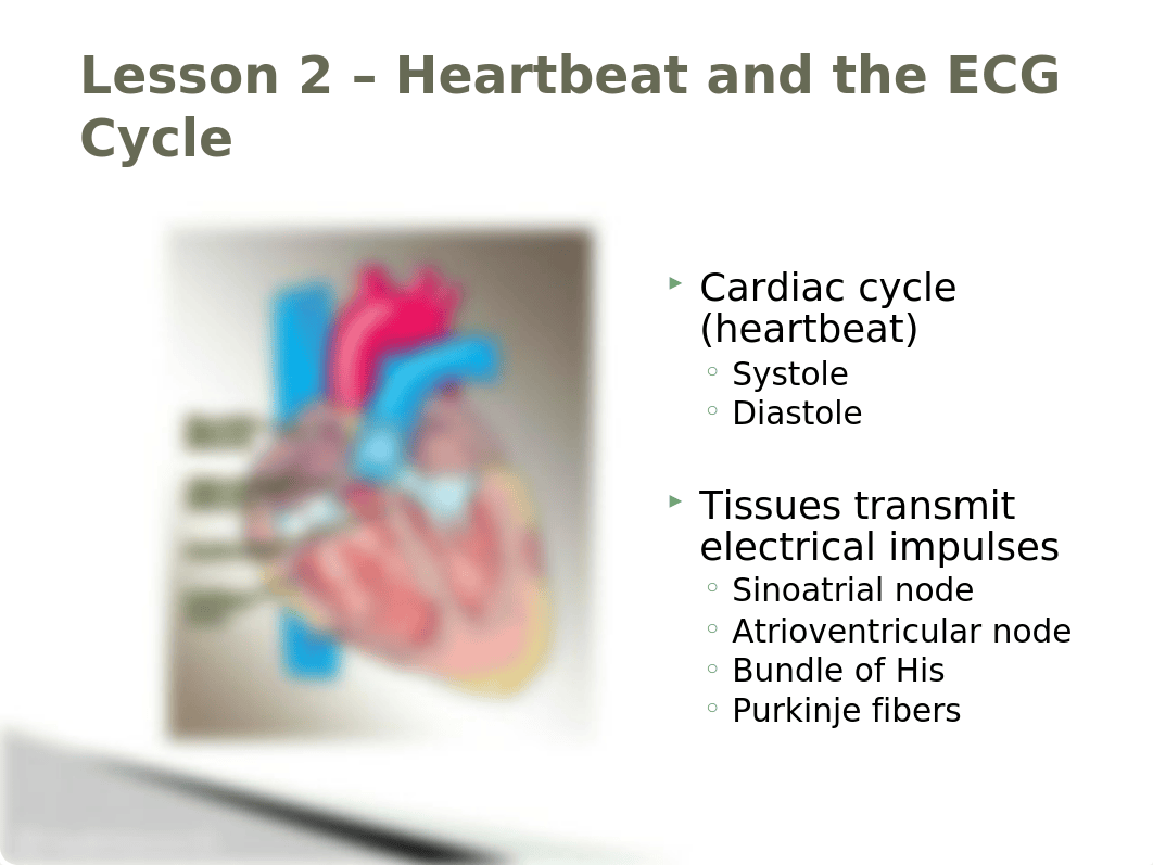 Heartbeat and the ECG Cycle Lesson 2 (1).pptx_dq9vi9g79du_page3