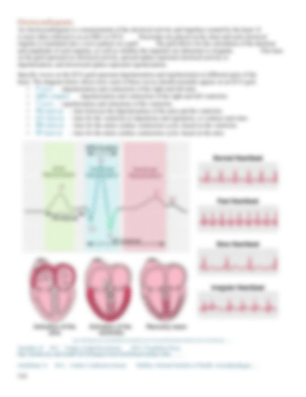 ECG_EKG Reading.pdf_dqa0ivzu86y_page2