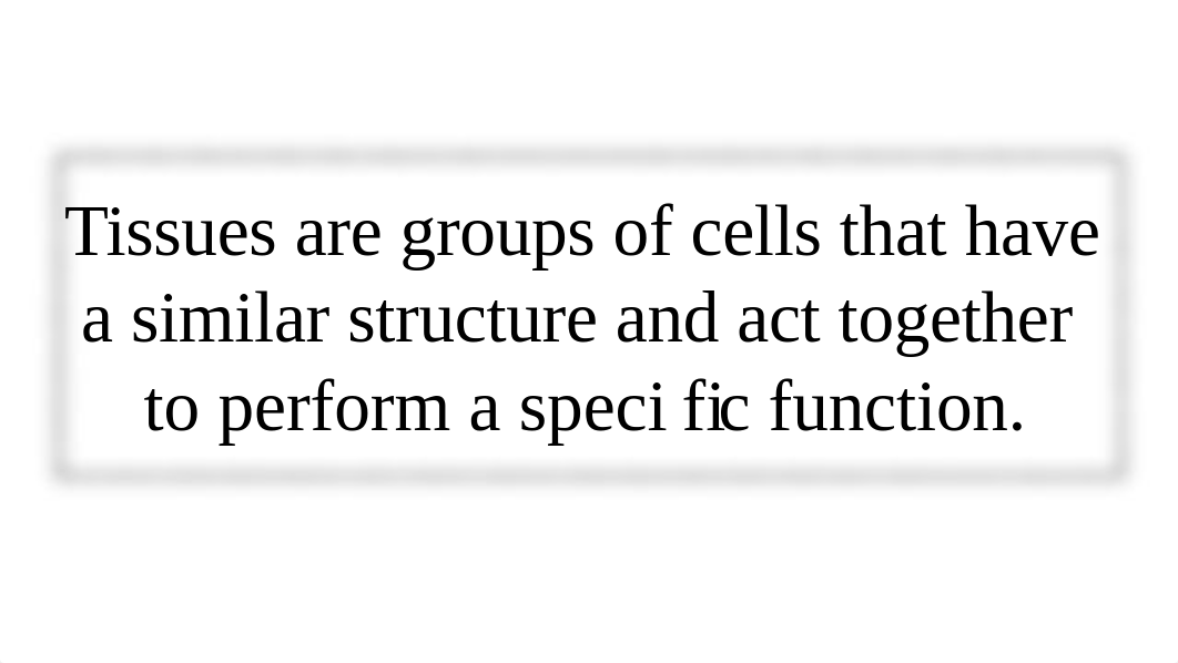 histology project.pdf_dqa2rhk1ow5_page2