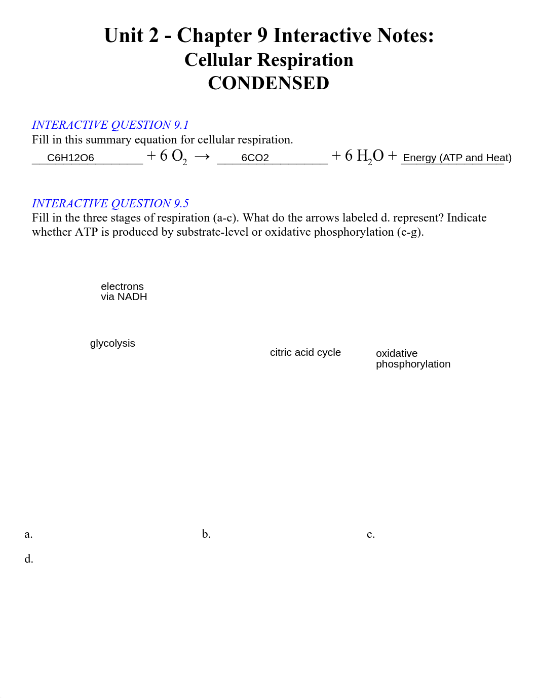 Coffman_InteractiveNotesCh.9.pdf_dqadb3kgis0_page1